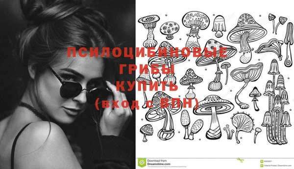 ГАЛЛЮЦИНОГЕННЫЕ ГРИБЫ Алзамай