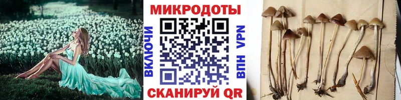 Псилоцибиновые грибы Cubensis  закладка  Урай 